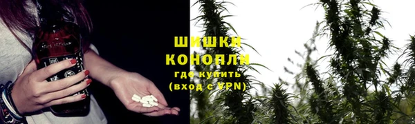 spice Горняк