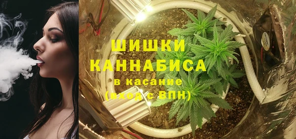 spice Горняк
