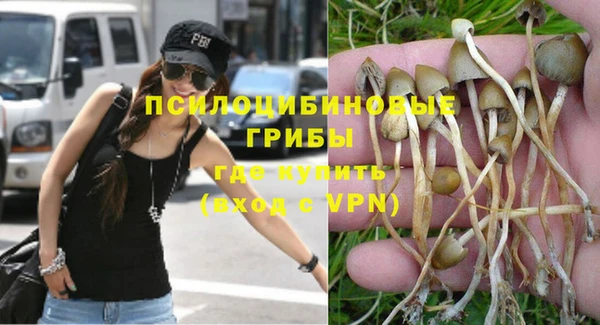 spice Горняк