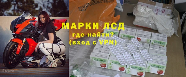 индика Гусиноозёрск