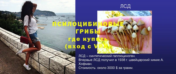 гидропоника Горно-Алтайск