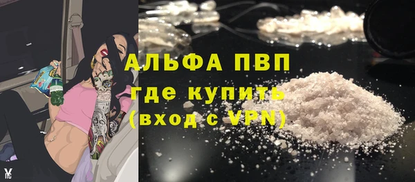 индика Гусиноозёрск