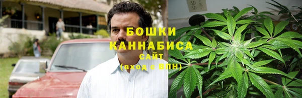 spice Горняк