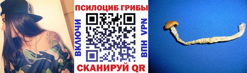 Псилоцибиновые грибы GOLDEN TEACHER  Купить  Приморско-Ахтарск 